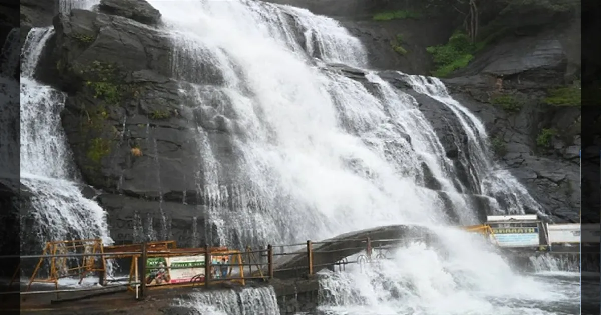 “ஆர்ப்பரிக்கும் குற்றாலம்... அச்சத்தில் சுற்றுலாப் பயணிகள்!” அருவிகளில் காட்டாற்று வெள்ளம்; குளிக்க  தடை!