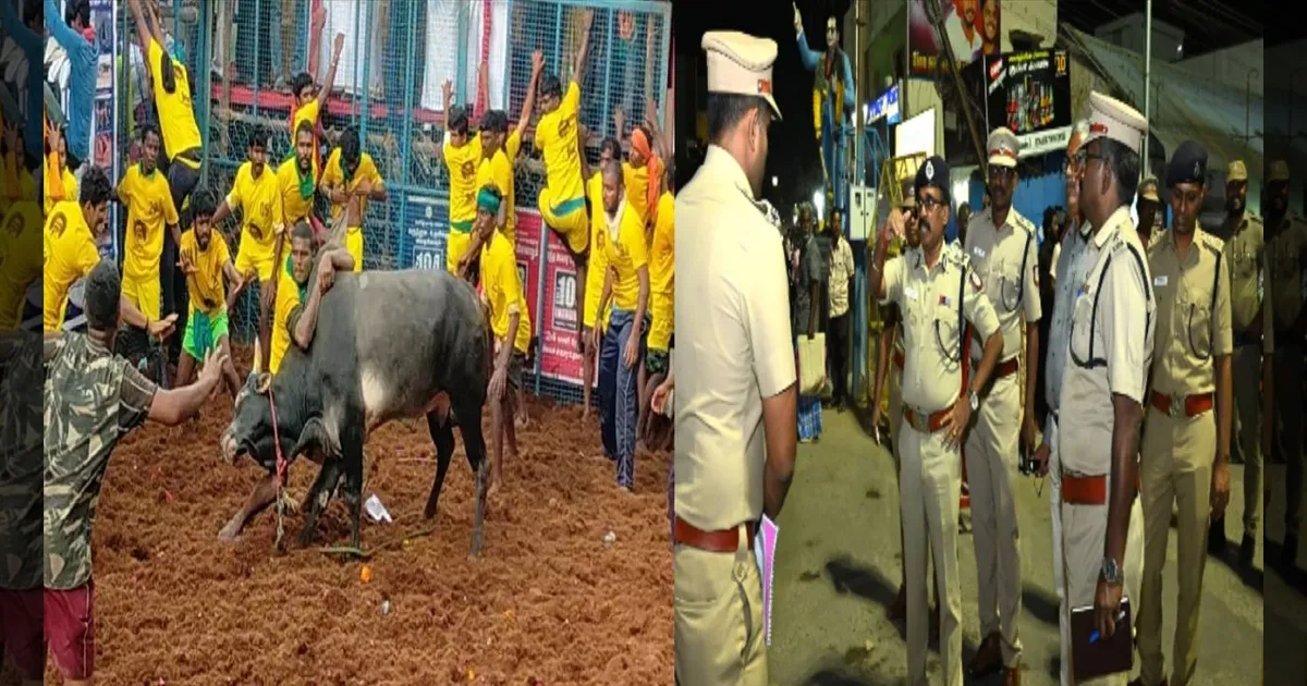 வாடிவாசல் ரெடி! அவனியாபுரம் ஜல்லிக்கட்டில் களமிறங்கும் காளைகள்.. 2,200 போலீசார் குவிப்பு!