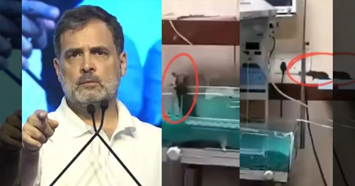 பிரதமர் மோடி, ம.பி முதல்வர் வெட்கி தலைகுனியணும்! முதுகு தண்டில் நடுக்கம்!! ராகுல் காந்தி ஆதங்கம்!