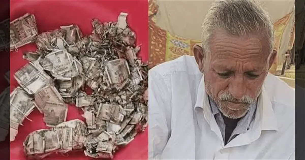 ரூ.5 லட்சம் போச்சே! மனைவிக்கு தெரியாமல் மண்ணுக்குள் புதைத்த பணம்! கறையான் அரித்ததால் விவசாயி கண்ணீர்!