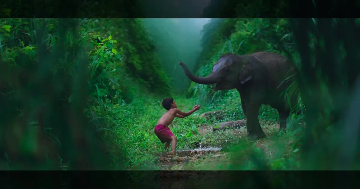 cinema-prabhu-solomons-kumki-2-trailer-out-tamilcinema