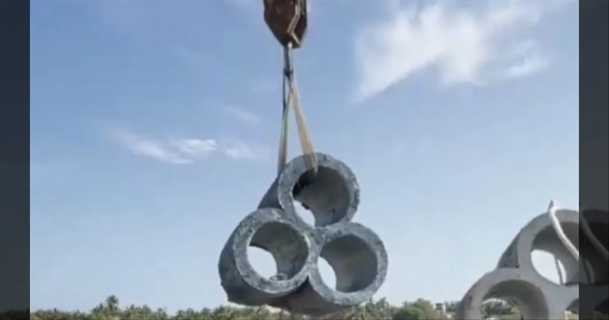 கடலில் செயற்கை பவளப்பாறைகள்... பணியை மும்முரமாக தொடங்கிய மீன்வளத் துறை..!