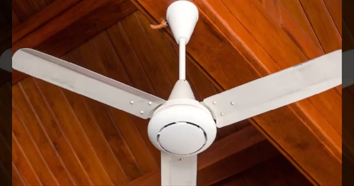 Does Fan Speed Affect Electricity Bill? Here's the Truth