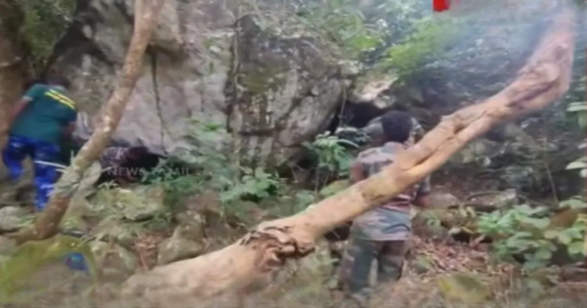 2 உயிரை துடிதுடிக்க கொன்று நர வேட்டையாடிய ‘ஆட்கொல்லி’ புலி சிக்கியது?... வனத்துறையினர் தீவிர நடவடிக்கை...!