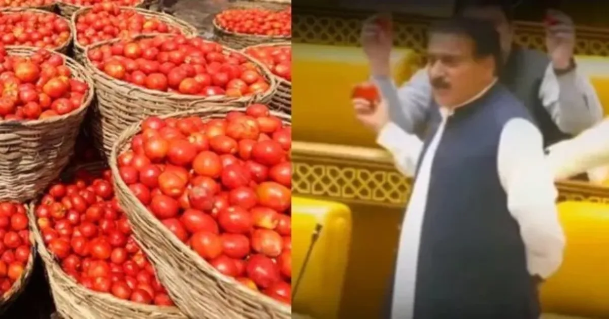 வரலாற்று உச்சம்... ”ஒரு தக்காளி விலை ரூ.75” - இந்தியாவிடம் கையேந்த தயாராகும் பாகிஸ்தான்...!