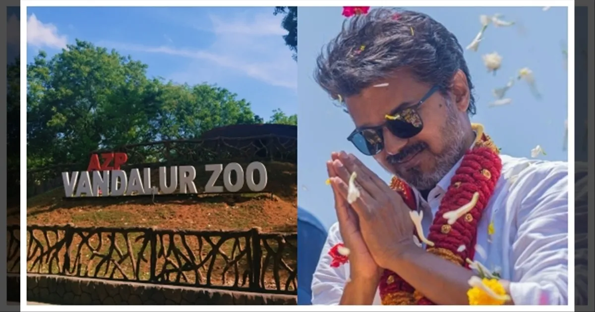 வண்டலூர் பூங்கா HOUSEFULL..! முதல்வர் விஜய் பிறந்தநாள் கொண்டாட்டமாக இலவச அனுமதி..!