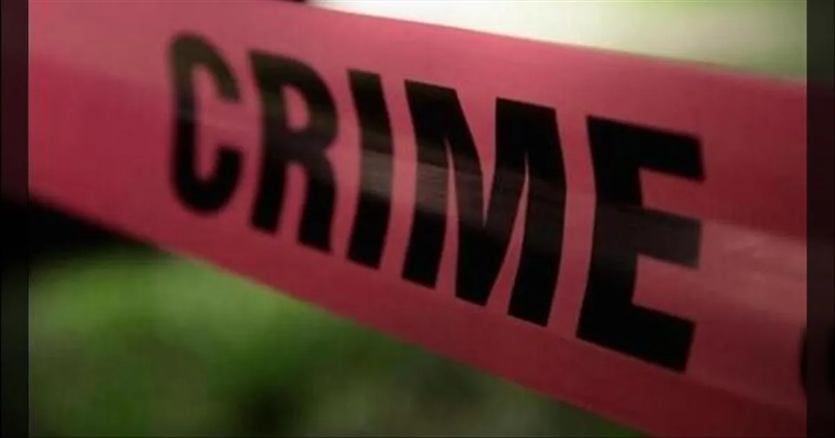 police arrested a man sexually assaulted old woman