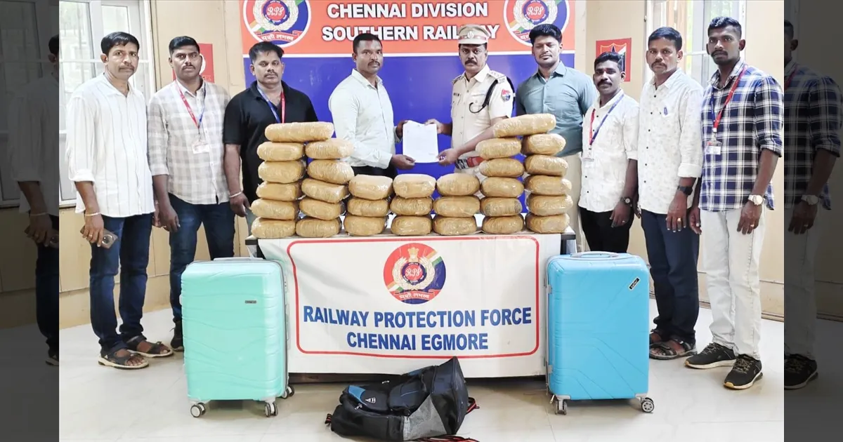 சென்னை எக்மோரில் அதிரடி! ₹16 லட்சம் மதிப்பிலான 31 கிலோ கஞ்சா பறிமுதல்!