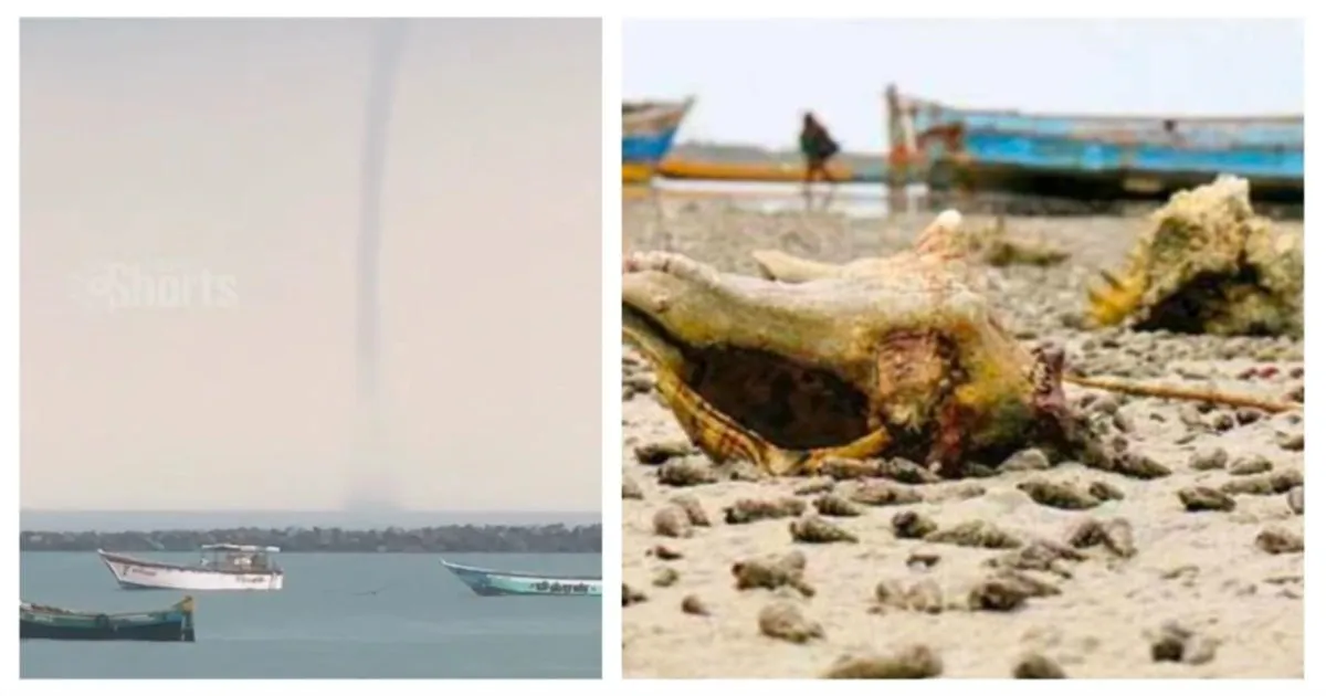 பாம்பனில் அடுத்தது பகீர்...!! 500 மீட்டருக்கு உள்வாங்கிய கடல்; திடீரென கடல் நீரை உறிஞ்சிய மேகம்...!